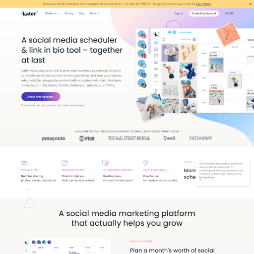 Later  Landing Page Design