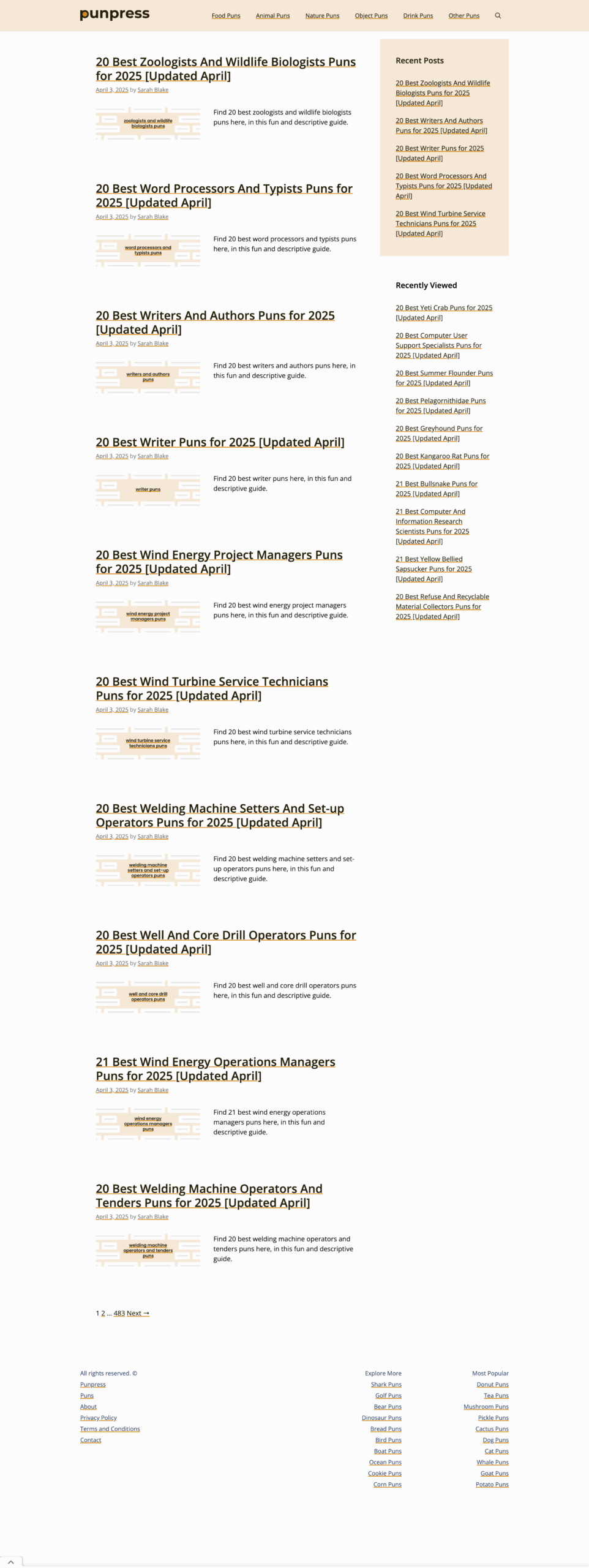 PunPress Landing Page Designs