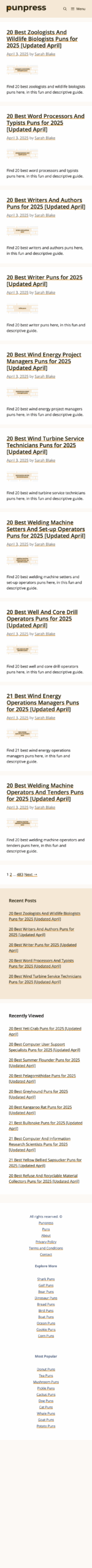 PunPress Landing Page Designs